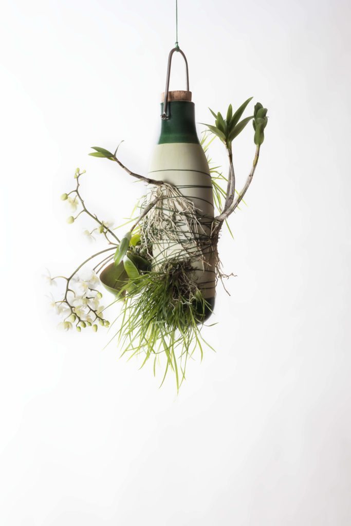 EPIPHYTES by Dossofiorito